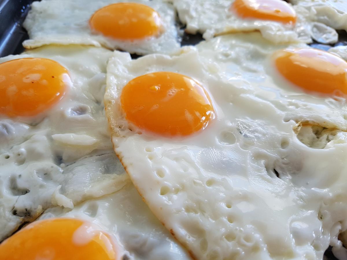 Kastro