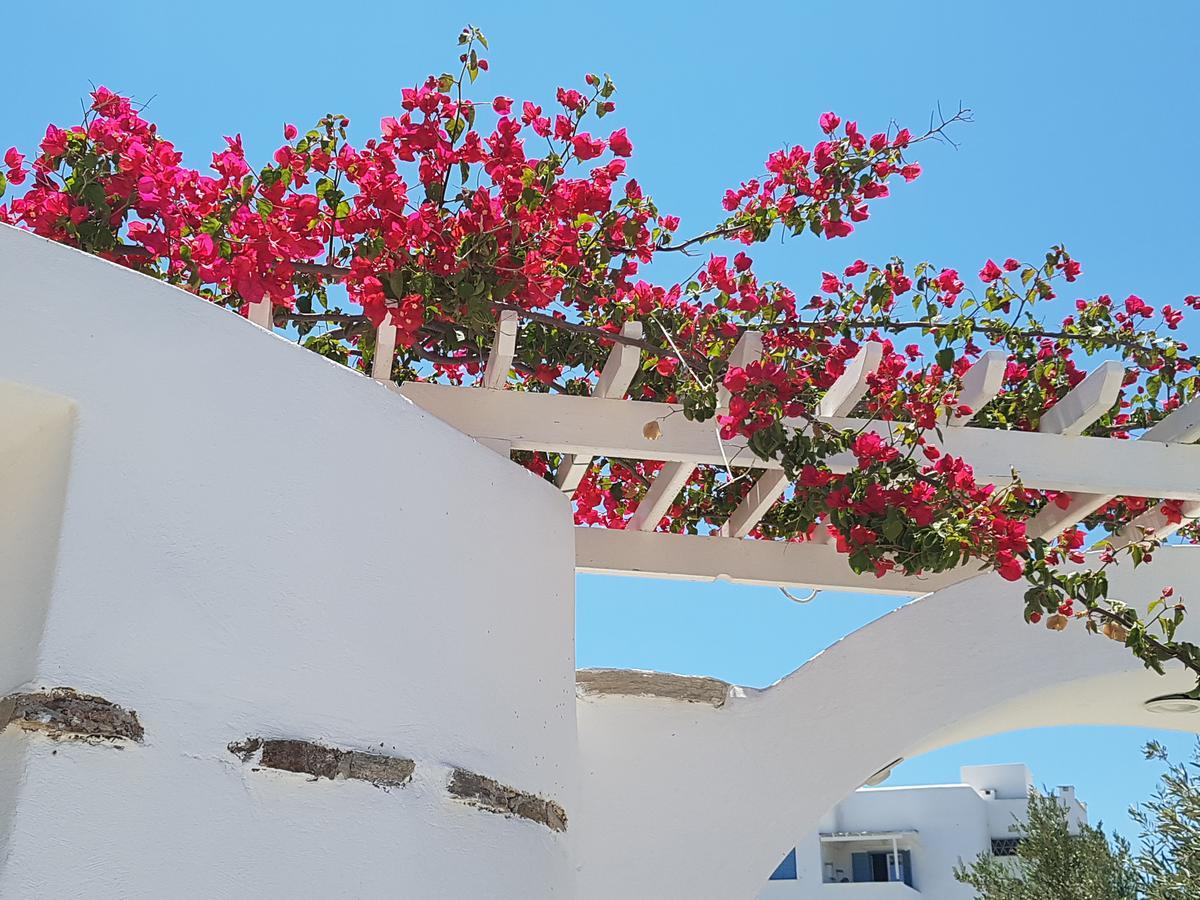 Kastro * Antiparos